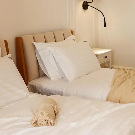 Romari коперника 19