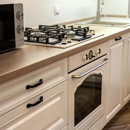 Romari коперника 19 Lviv