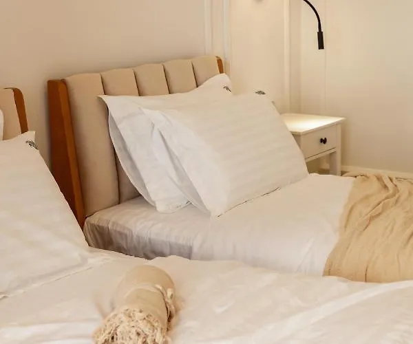 Romari коперника 19